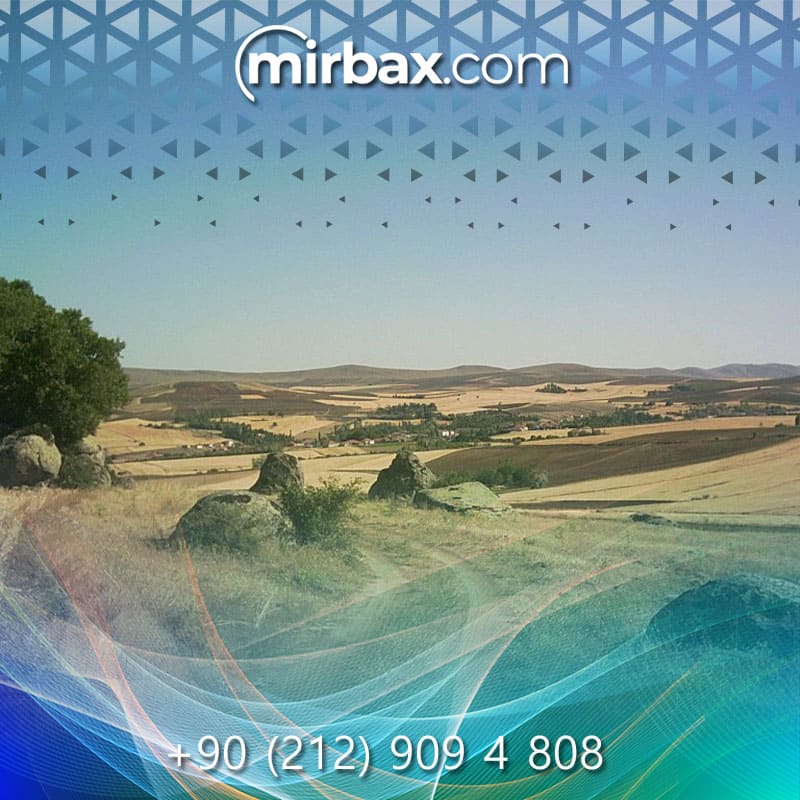 Mirbax