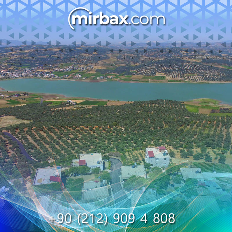 Mirbax