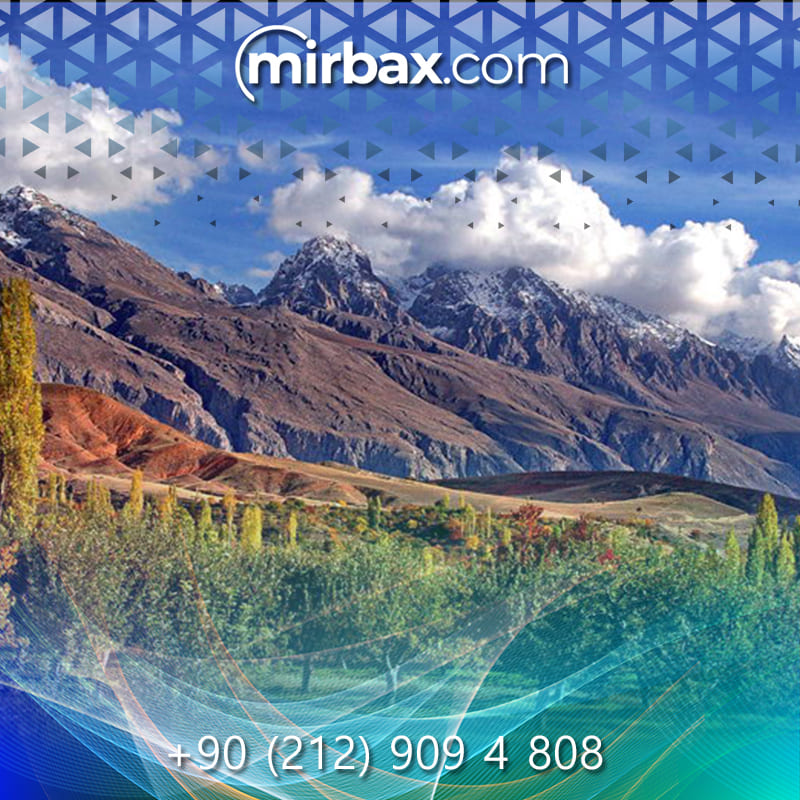 Mirbax