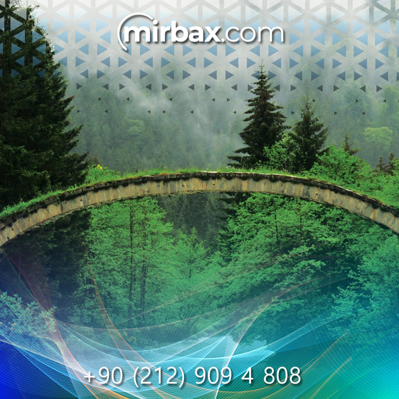 Mirbax