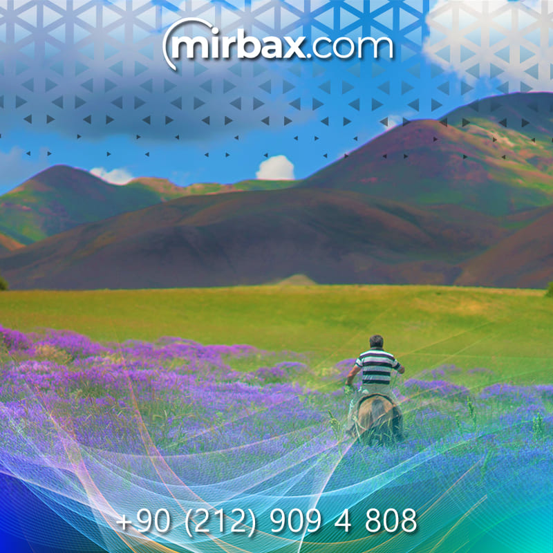 Mirbax