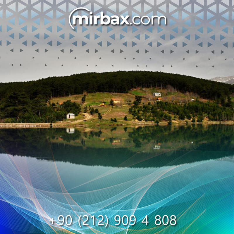 Mirbax