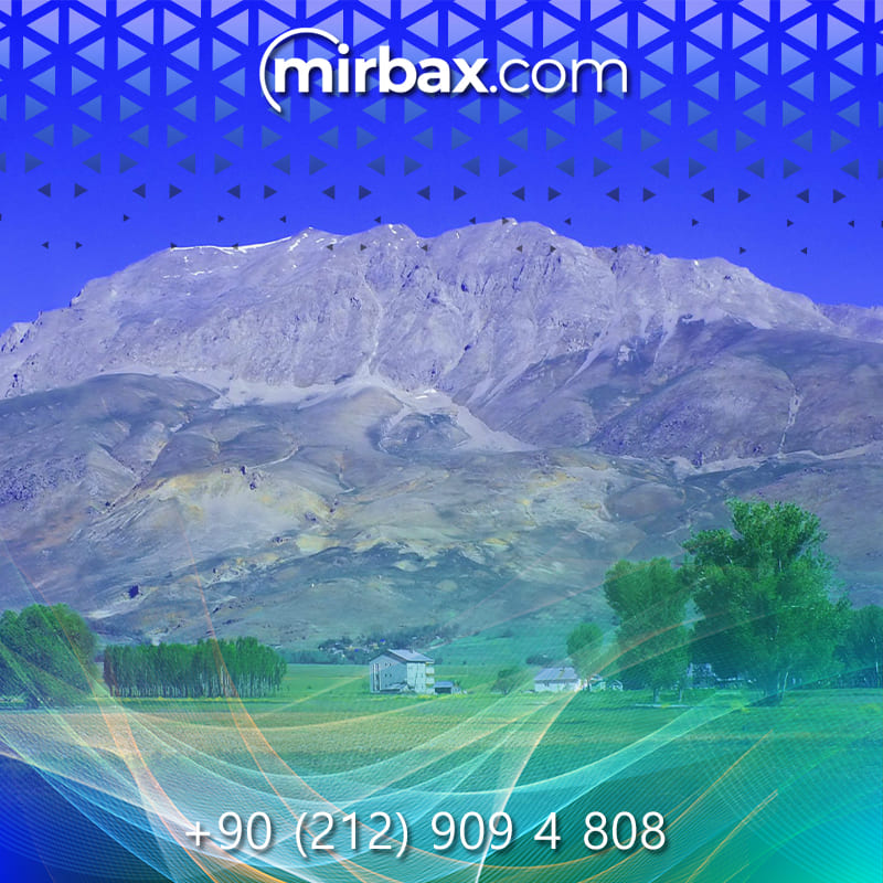 Mirbax